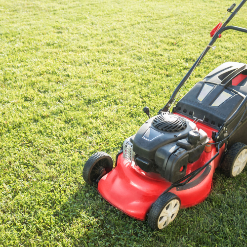 Lawn Care Maintenance San Antonio Texas